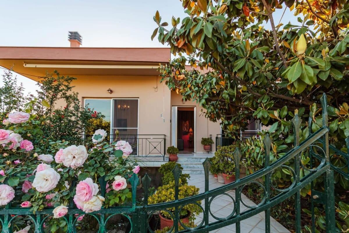Holiday home Stylish Seaside - Fully Equipped, Big Terrace *